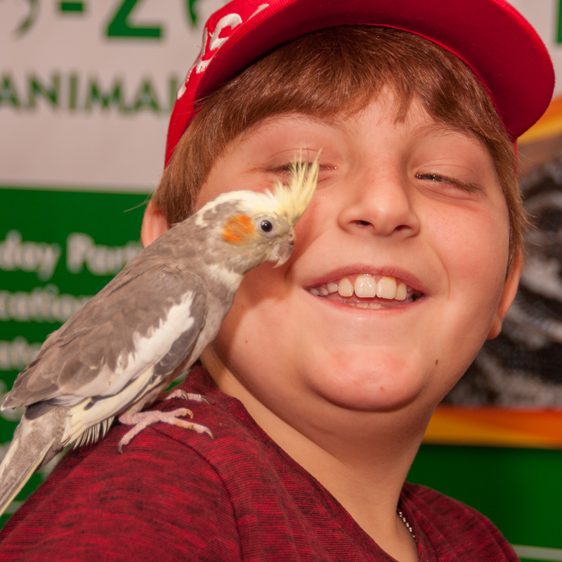 photo gallery photo gallery456-Feathered Friends.jpg